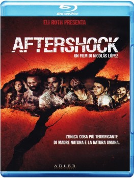 Aftershock (2012).mkv BDRip 576p x264 AC3 iTA-ENG