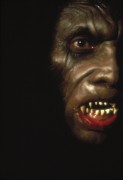 Вой 2: Стирба – Сука-оборотень / Howling II: Stirba - Werewolf Bitch (Кристофер Ли, 1984) 4e958b480840334