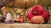 Сердитые птички / Angry Birds (2016) 52654d481282670