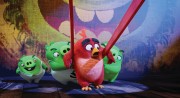 Сердитые птички / Angry Birds (2016) Db71fe481282681
