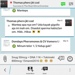 ImageBam image upload