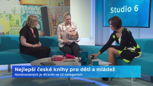 Obrázek