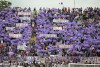 фотогалерея ACF Fiorentina - Страница 11 296f10482953874