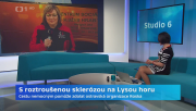 Obrázek