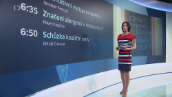 Obrázek