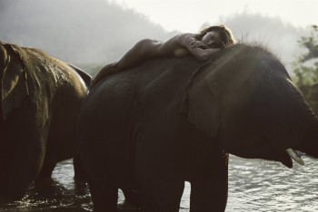 ImageBam image upload