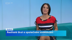 Obrázek
