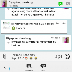 ImageBam image upload