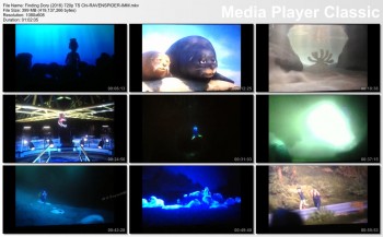 imagebam.com
