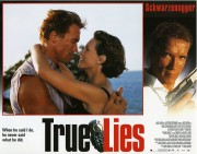 Правдивая ложь / True Lies (Арнольд Шварценеггер, Джейми Ли Кертис, 1994) 11ed4a490952857