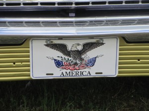 f2460c492414234.jpg