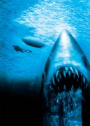 Челюсти 4: Месть / Jaws: The Revenge (Майкл Кейн, 1987) 65bd08493695775