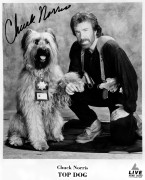 Чак Норрис (Chuck Norris) много фоток  49f099493894310