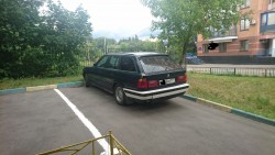 d01c38494213778.jpg