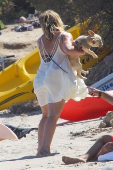 ImageBam image upload