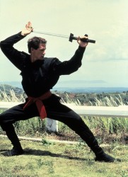 Американский ниндзя / American Ninja (1985) Майкл Дудикофф 645013495068560