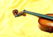 Musical Instruments 306bbe497289602
