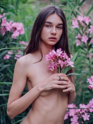 http://thumbnails116.imagebam.com/49847/2aa3cd498466048.jpg