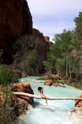 http://thumbnails116.imagebam.com/49848/93f0c9498473887.jpg