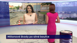 Obrázek