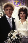 Медовый месяц с призраками / Haunted Honeymoon (1986) B6f1ca503087965