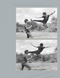 Брюс Ли (Bruce Lee) "BRUCE LEE: The Dragon Remembered; A Photographic Retrospective" by Linda Palmer 60bdbd503682960