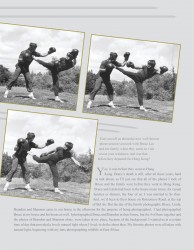 Брюс Ли (Bruce Lee) "BRUCE LEE: The Dragon Remembered; A Photographic Retrospective" by Linda Palmer F4ac6c503683035