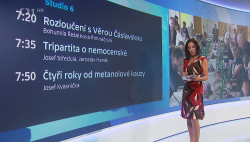 Obrázek