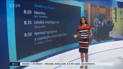 Obrázek