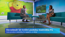 Obrázek