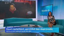 Obrázek