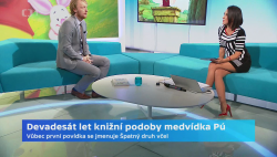Obrázek