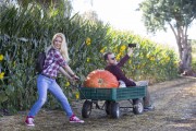 Heidi Montag & Spencer Pratt - Pumpkin Patch In LA, 16th Oct 2016 (52x)