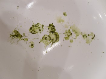 c069a7511865971.jpg