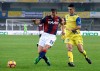 фотогалерея Bologna FC - Страница 2 0c1599511890579