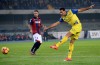 фотогалерея Bologna FC - Страница 2 86e836511890584