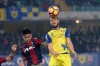 фотогалерея Bologna FC - Страница 2 Dac96b511890616