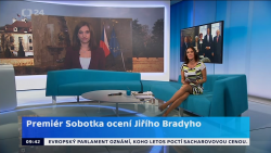 Obrázek
