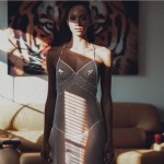 http://thumbnails116.imagebam.com/51228/950714512275660.jpg