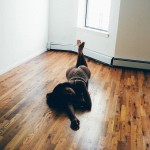 http://thumbnails116.imagebam.com/51228/d96d0e512275341.jpg