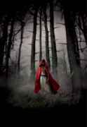 Красная шапочка / Red Riding Hood (Аманда Сайфрид, 2011) 08732d514176047