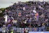 фотогалерея ACF Fiorentina - Страница 11 29cb17516051860