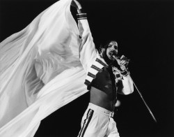 Queen и Freddie Mercury F7d242516068101