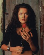 Сальма Хайек (Salma Hayek) Desperado Promo 1995 - 5xUHQ Fcf3f5518024622