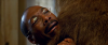 Il dottor Dolittle 2 (2000).avi DvdRip AC3 iTA-ENG